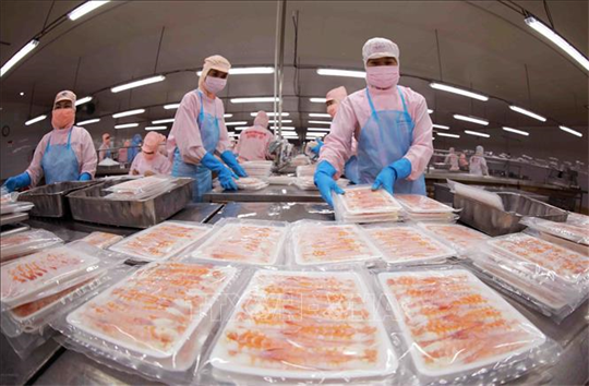 Int’l conference to promote Vietnam's Halal industry