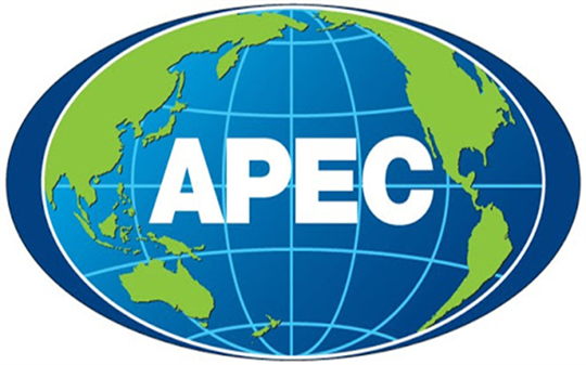 Vietnam actively contributes to APEC