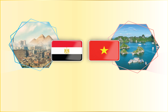 Relación de amistad tradicional entre Vietnam y Egipto