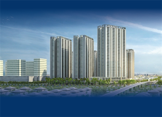 “建设100万套保障性住房”项目的实施结果