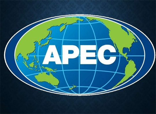 Vietnam participa de manera proactiva, positiva y responsable en APEC