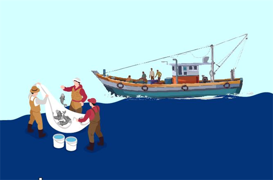 Mesures urgentes pour surmonter les lacunes et les limitations actuelles en matière de lutte contre la pêche INN