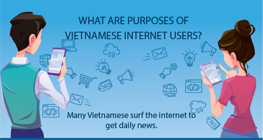 What are purposes of Vietnamese internet users?