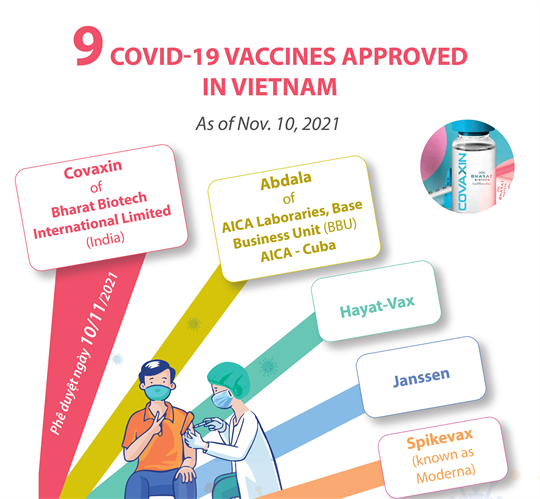 Nine Covid-19 vaccines approved in Vietnam
