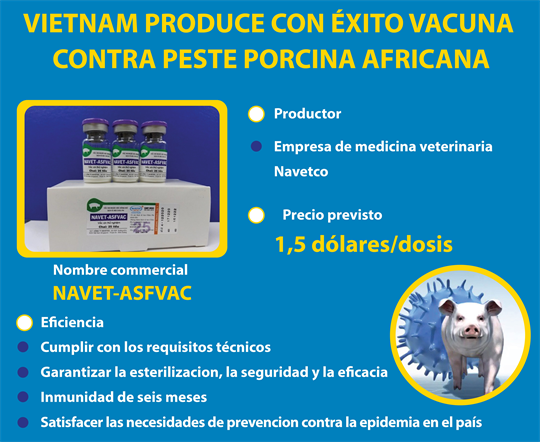 Vietnam produce con éxito vacuna contra peste porcina africana