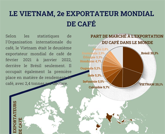 Le Vietnam, 2e exportateur mondial de café