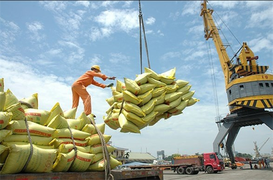 Rice export prices on the rise