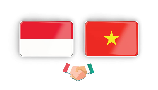 Vietnam-Indonesia strategic partnership