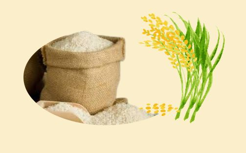 Rice exports up 40% in Q1