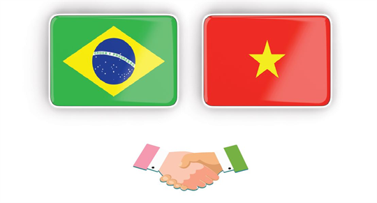 越南与巴西建交35周年： 加强越巴全面伙伴关系