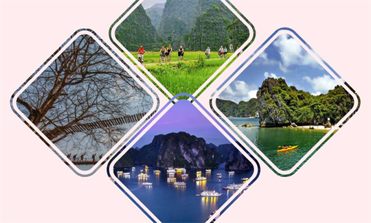 越南旅游行程中一定要尝试的4项有趣体验