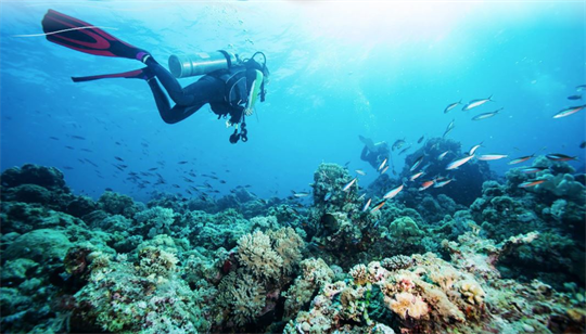 Nha Trang ranked among top 5 most beautiful diving destinations in Asia