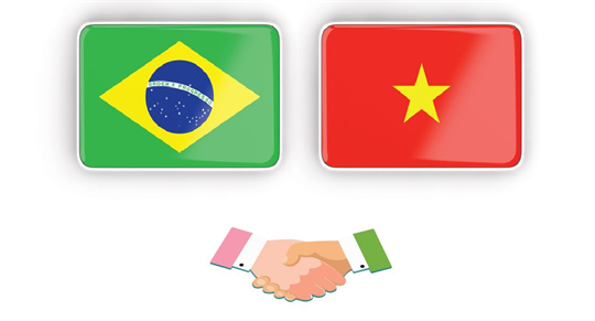 Relaciones de asociación estratégica Vietnam - Brasil