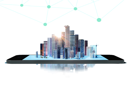 Programa de Desarrollo del Gobierno Digital Programa de Desarrollo del Gobierno Digital