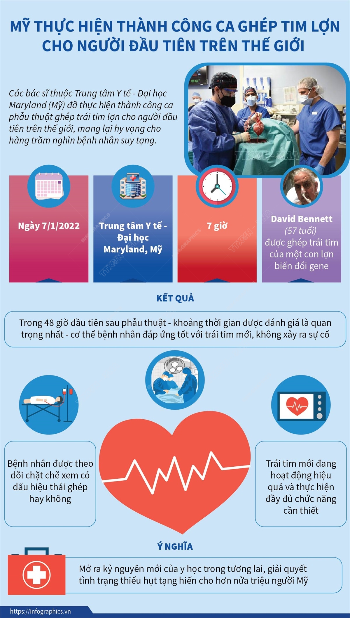 Mỹ thực hiện thành công ca ghép tim lợn cho người đầu tiên trên thế giới