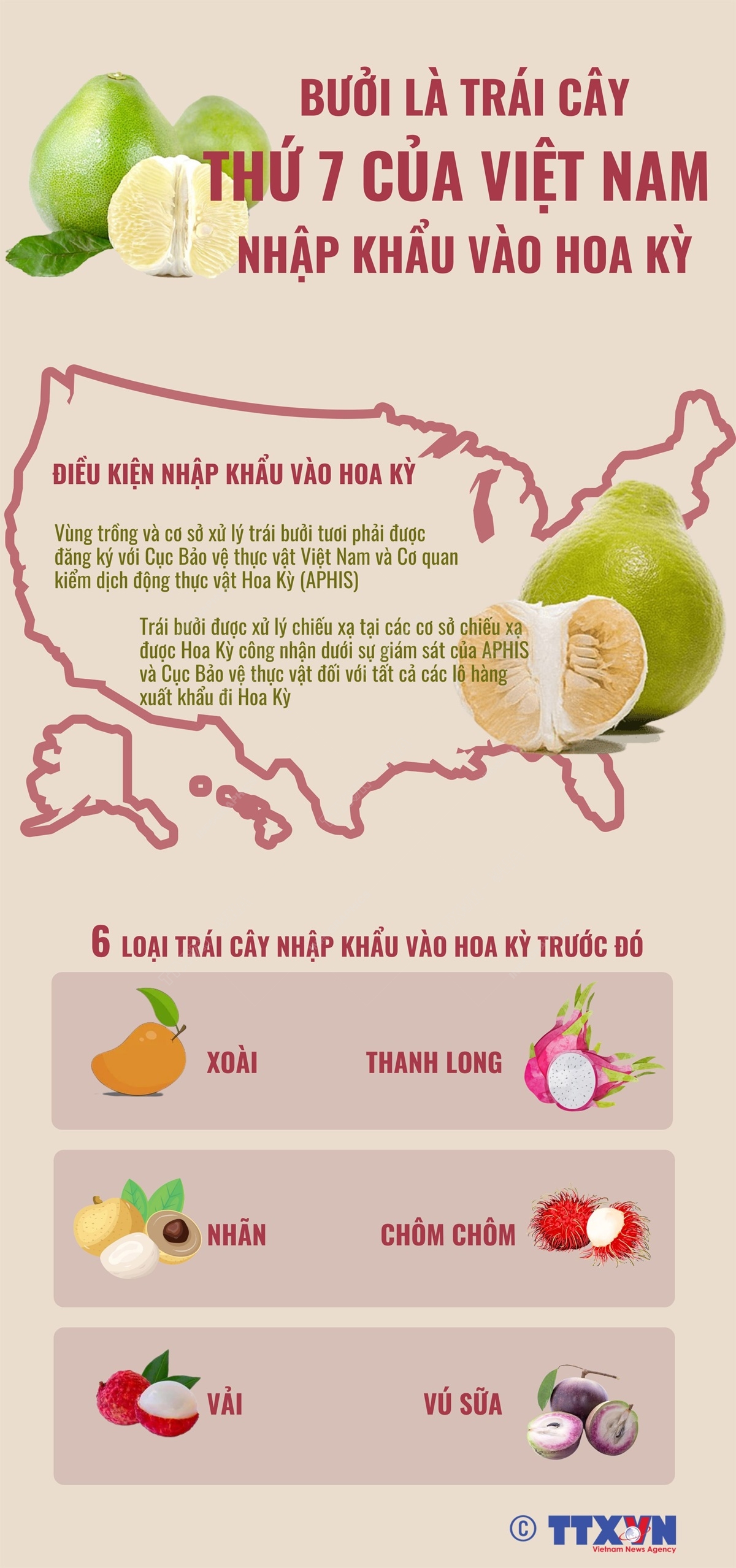 Bưởi là trái cây thứ 7 của Việt Nam nhập khẩu vào Hoa Kỳ