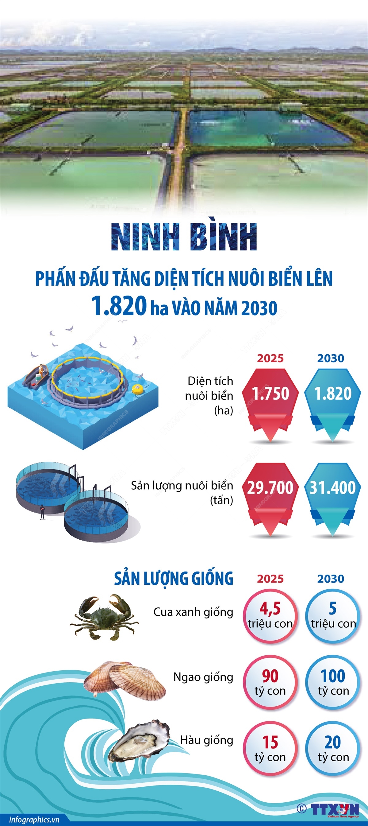 Ninh Bình phấn đấu tăng diện tích nuôi biển lên 1.820 ha vào năm 2030