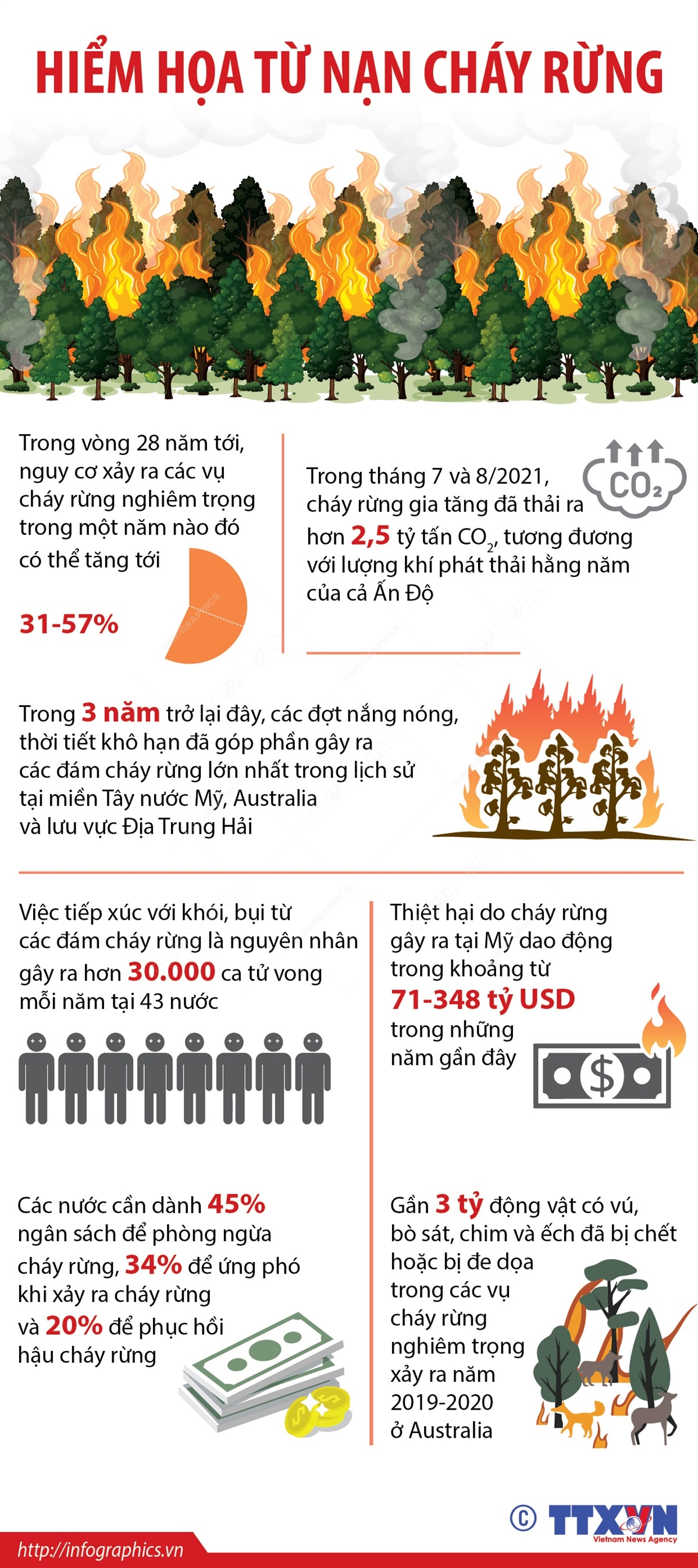 Hiểm họa từ nạn cháy rừng