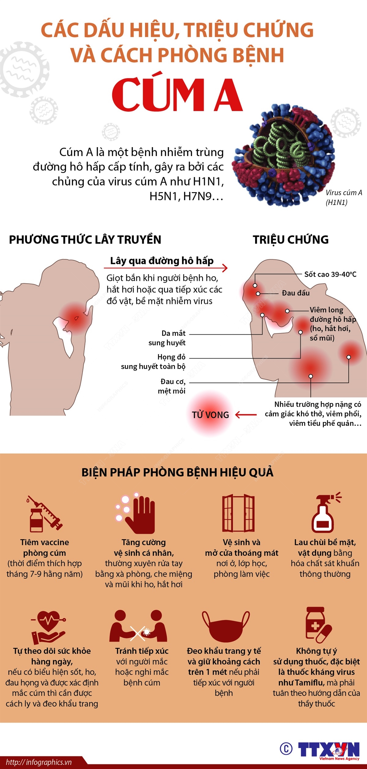 1. Triệu chứng và dấu hiệu nhận biết của cúm A