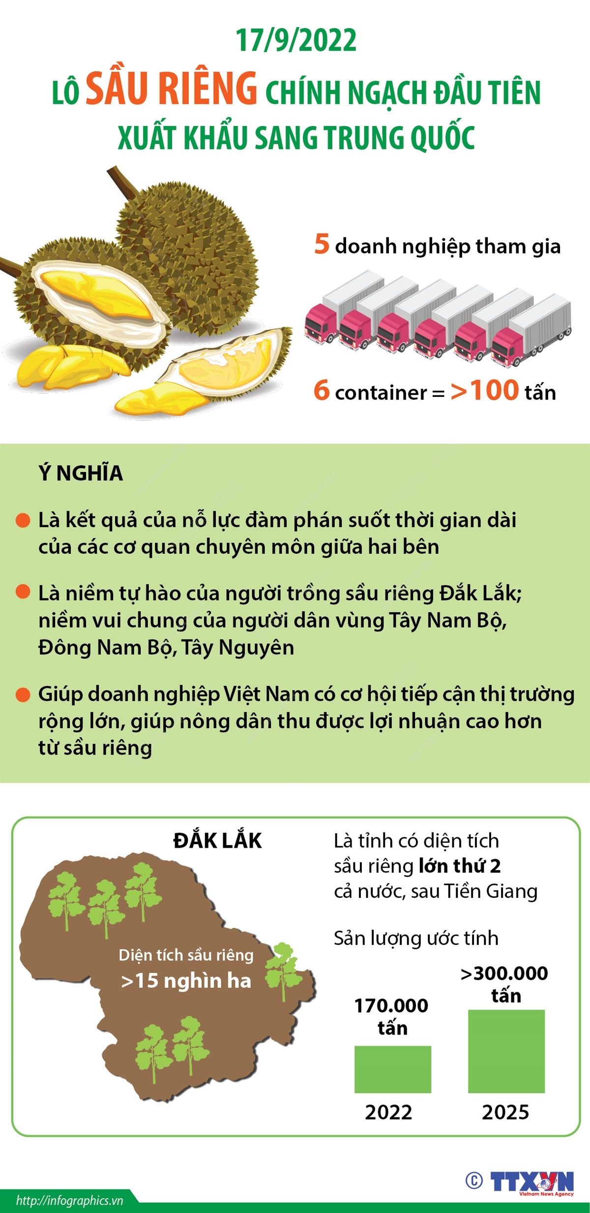 Thông tin về lô sầu riêng đầu tiên xuất khẩu chính ngạch sang Trung Quốc