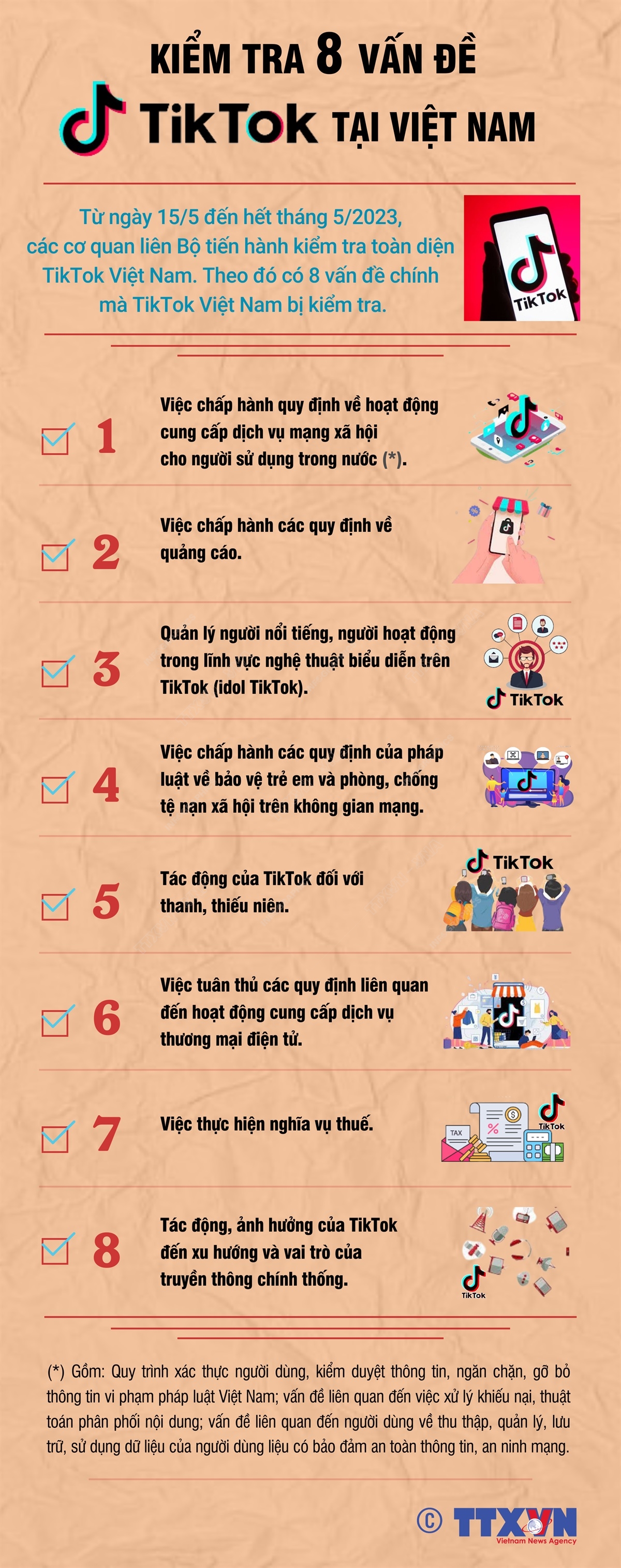 Kiểm tra 8 vấn đề TikTok tại Việt Nam