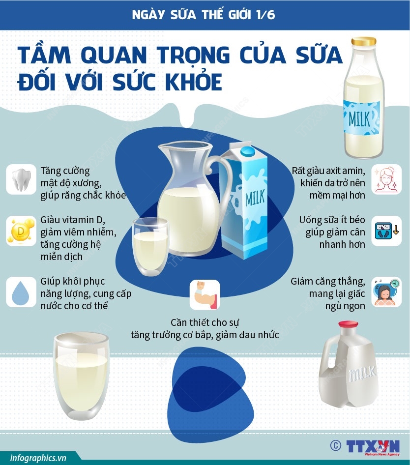 Ngày Sữa Thế giới 1/6: Tầm quan trọng của sữa đối với sức khỏe