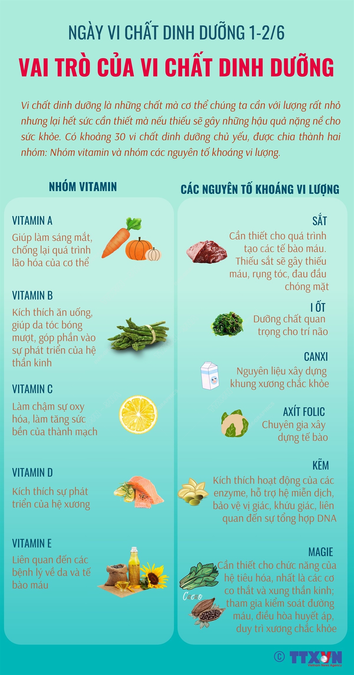 Vai trò của vi chất dinh dưỡng