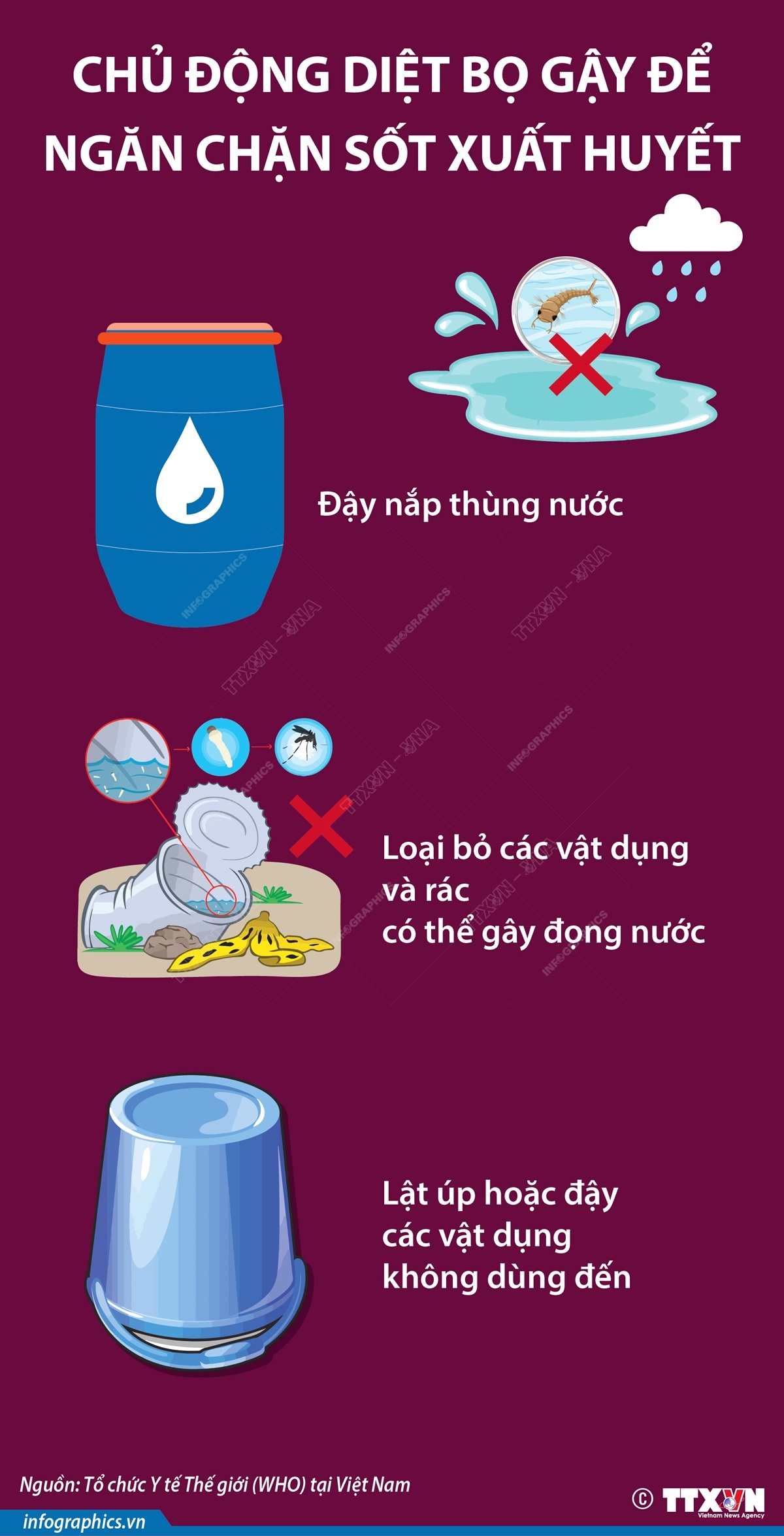 Chủ động diệt bọ gậy để ngăn chặn sốt xuất huyết