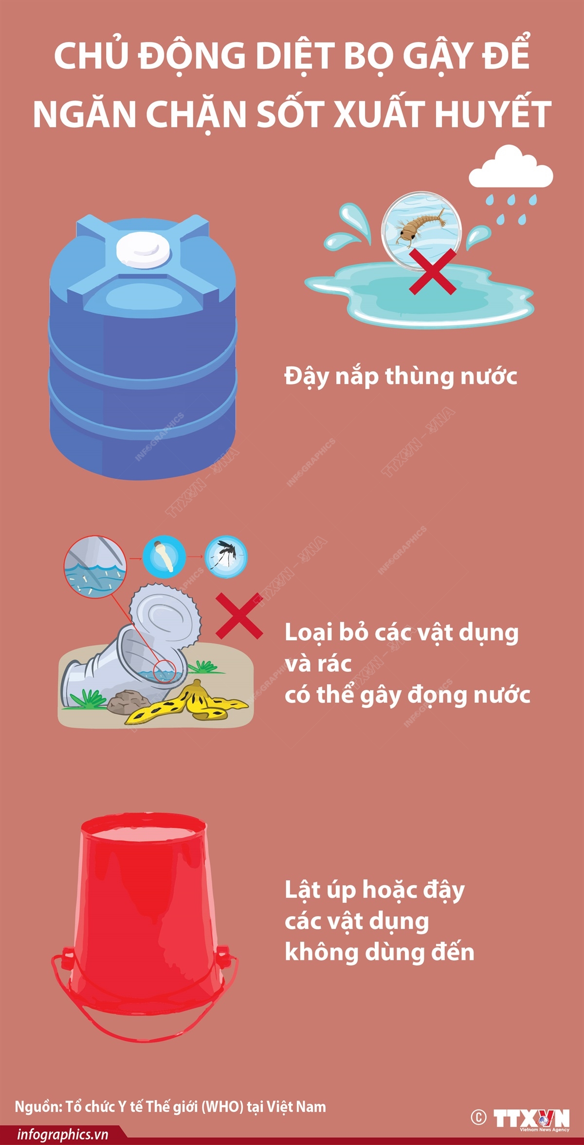 Chủ động diệt bọ gậy để ngăn chặn sốt xuất huyết