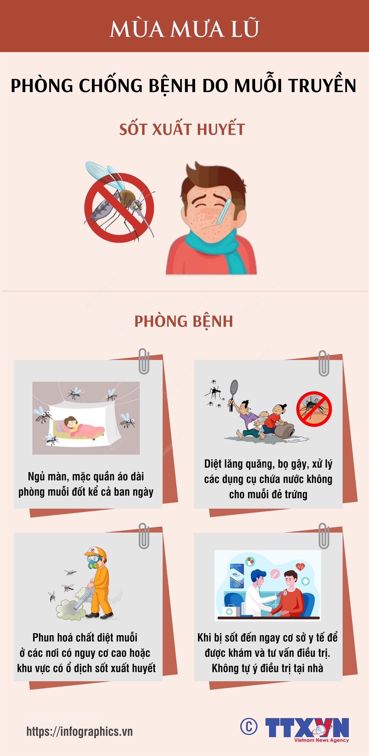 Phòng chống bệnh do muỗi truyền
