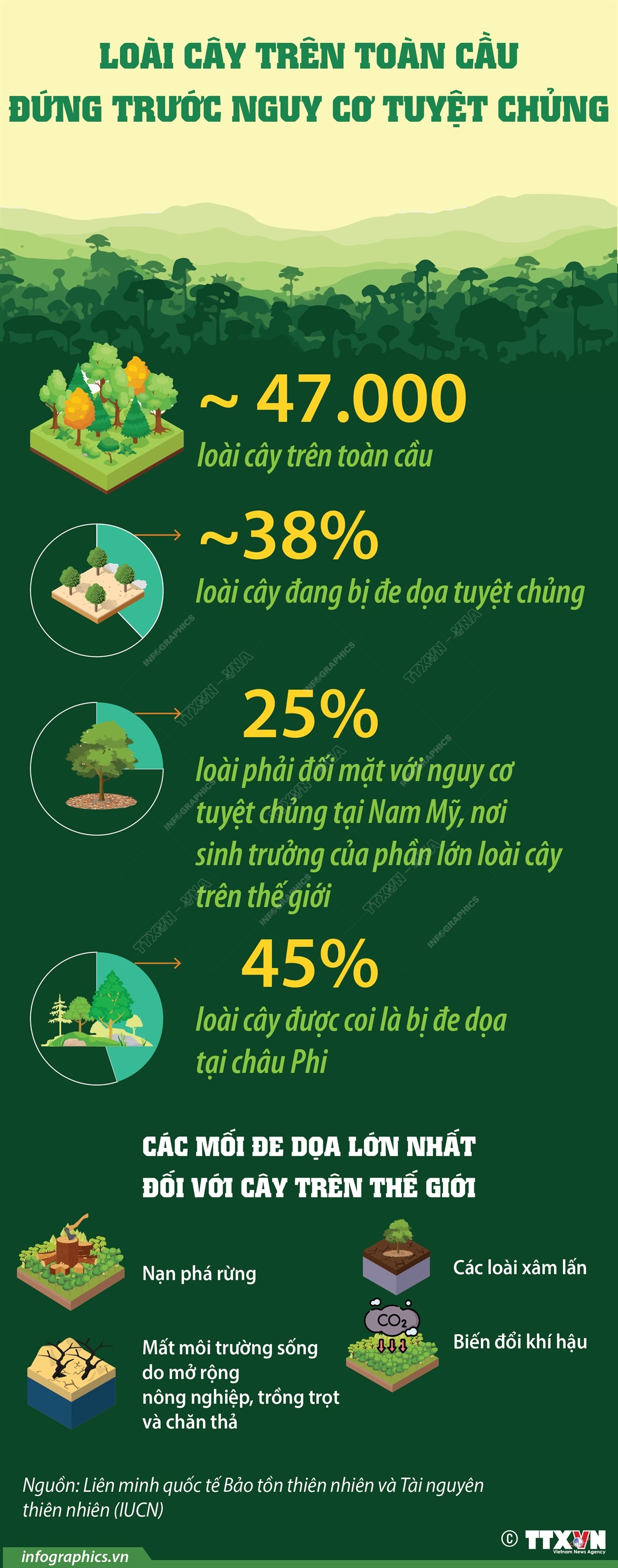 Loài cây trên toàn cầu đứng trước nguy cơ tuyệt chủng