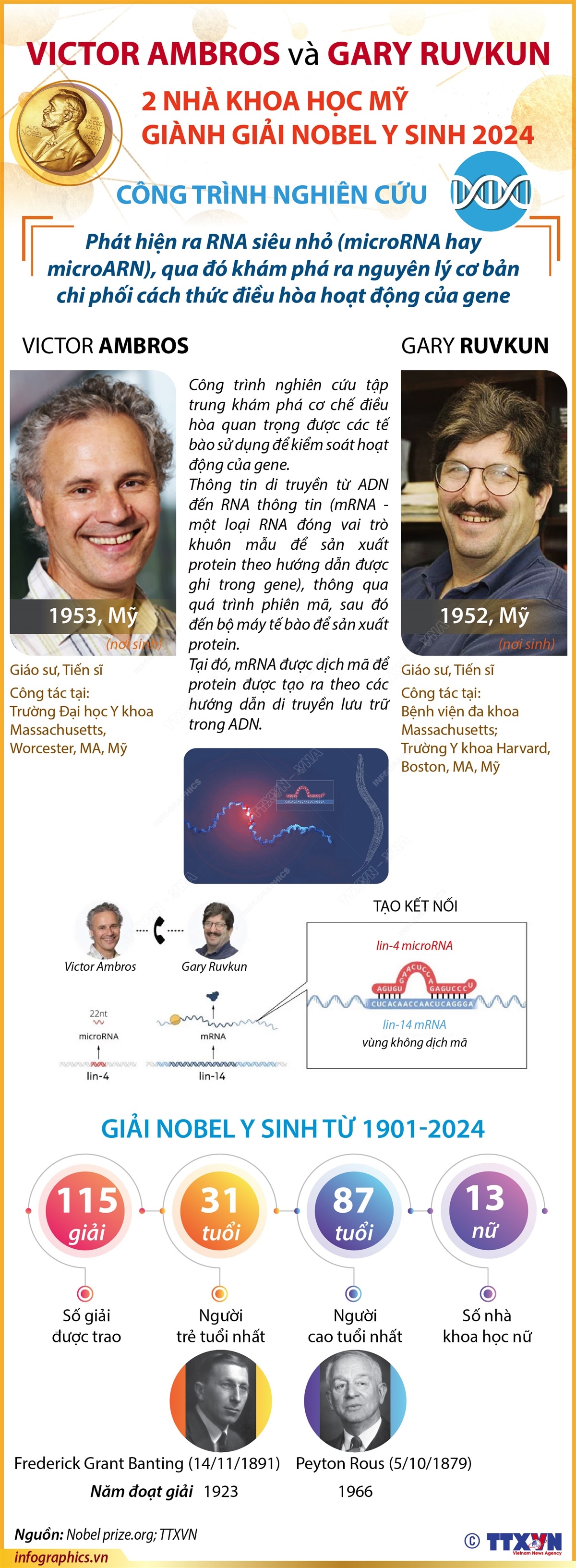 Giải Nobel Y sinh 2024 vinh danh 2 nhà khoa học người Mỹ Victor Ambros và Gary Ruvkun