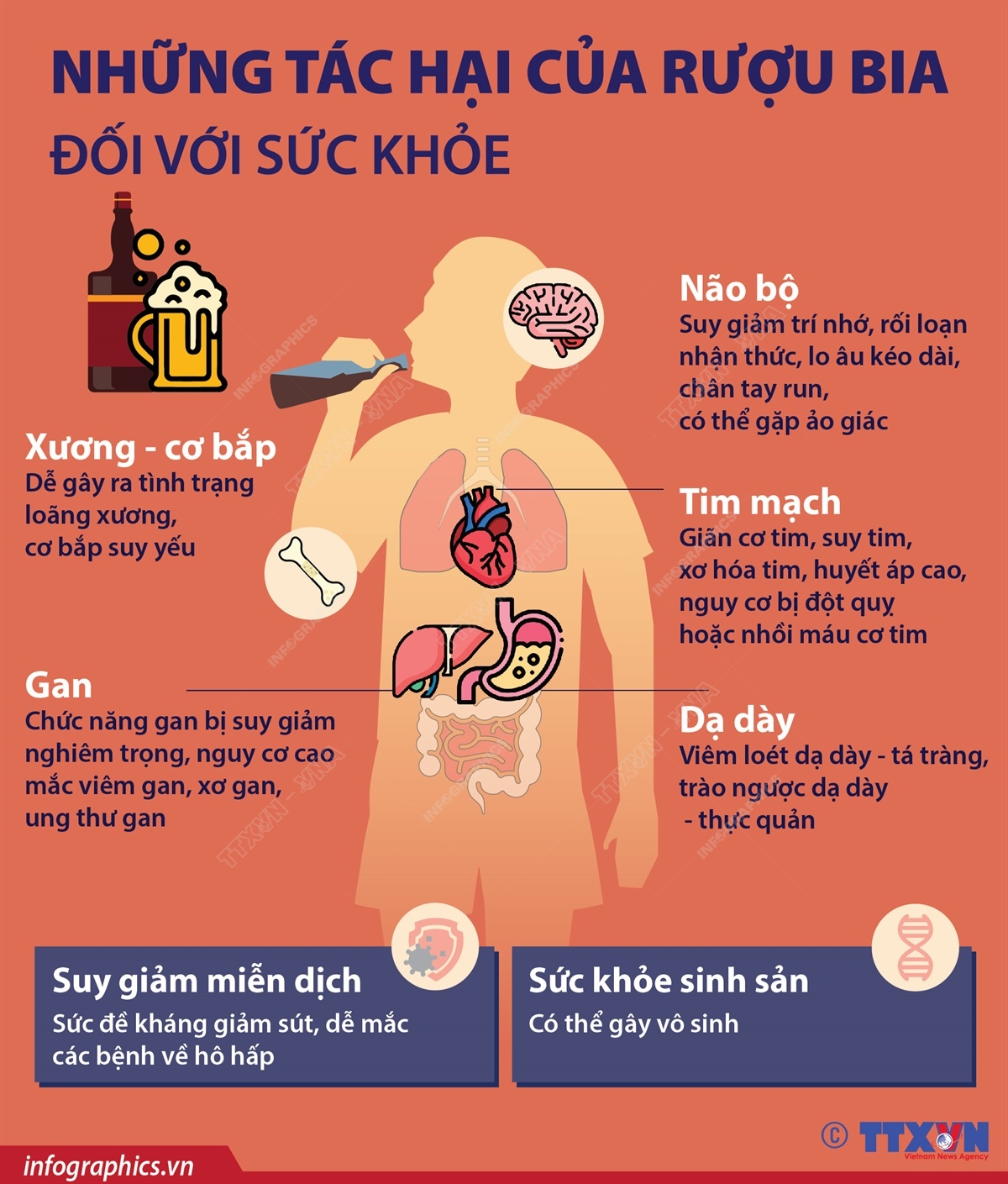 Tác Hại Của Rượu Bia: Hiểu Để Sống Khỏe Mạnh Hơn