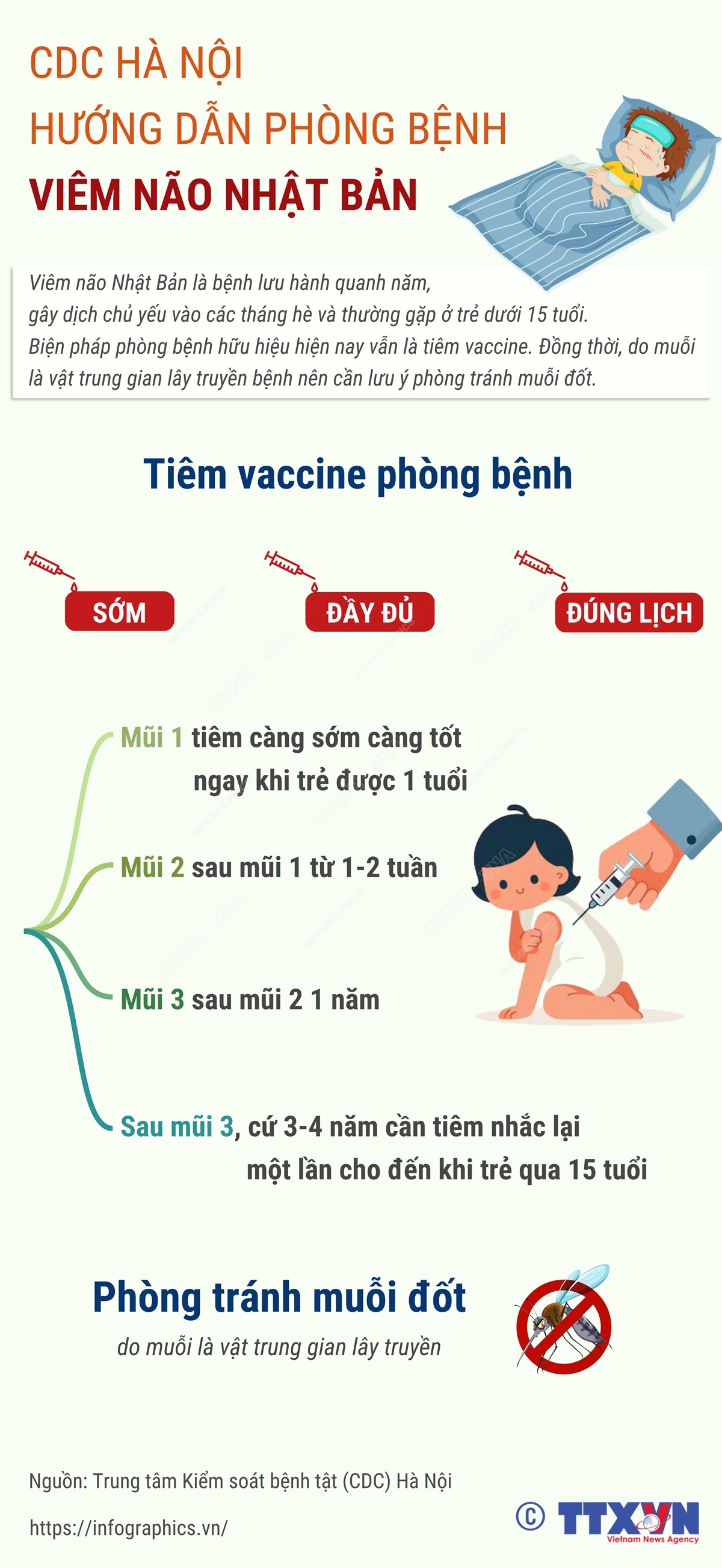 CDC Hà Nội hướng dẫn phòng bệnh viêm não Nhật Bản