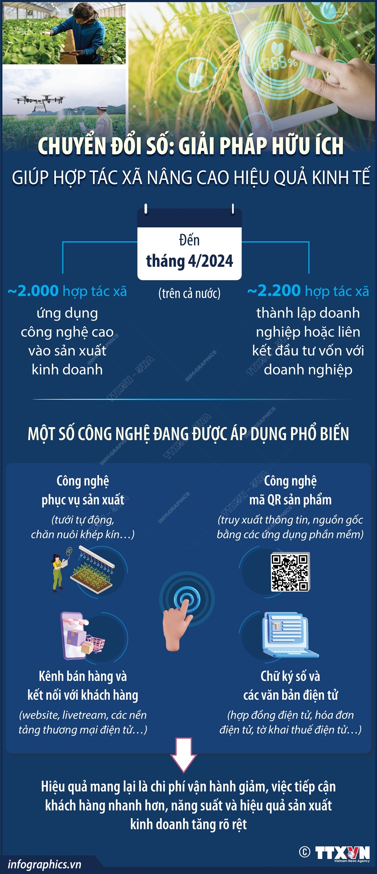 Chuyển đổi số: Giải pháp hữu ích giúp hợp tác xã nâng cao hiệu quả kinh tế