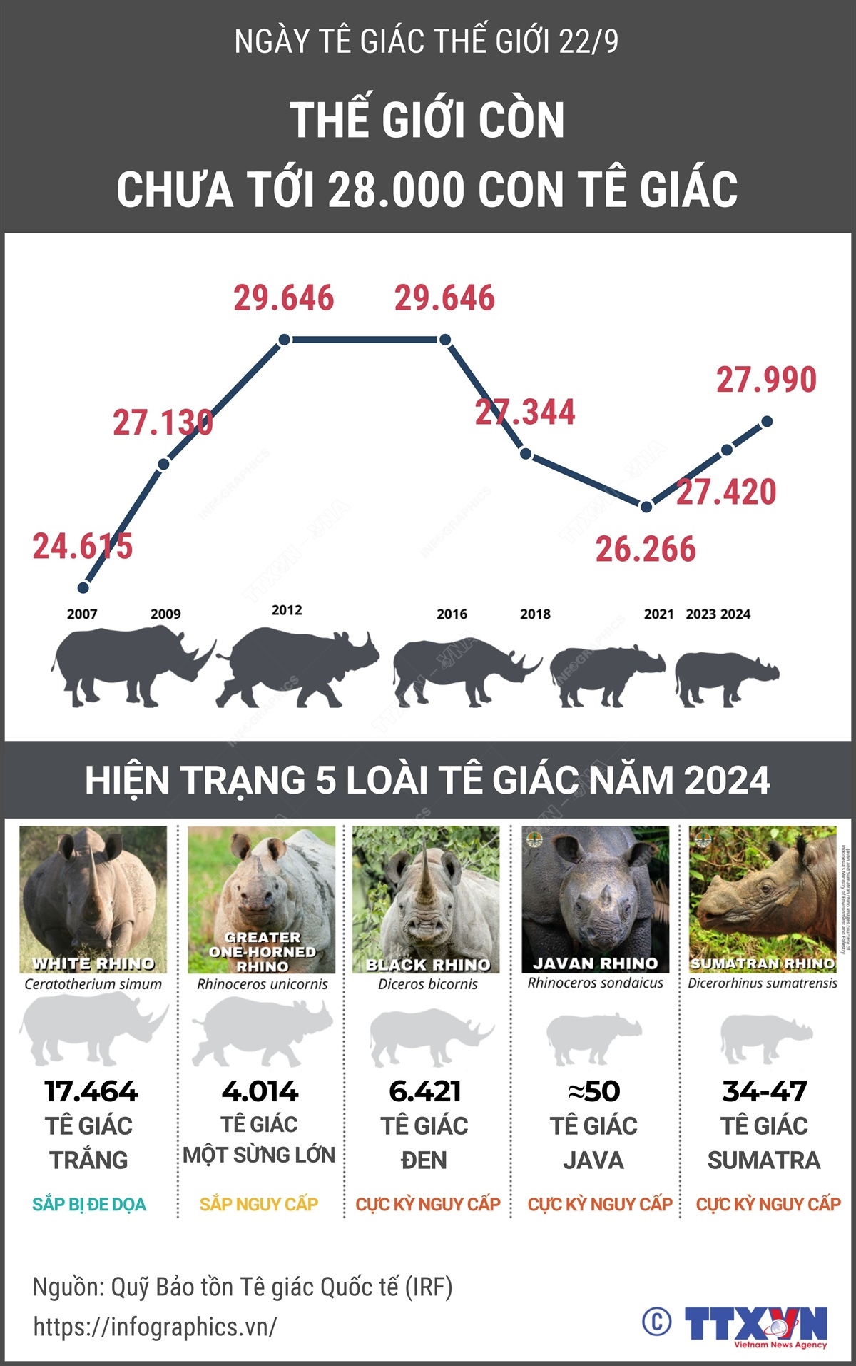 Ngày Tê giác thế giới 22/9: Thế giới còn chưa tới 28.000 con tê giác