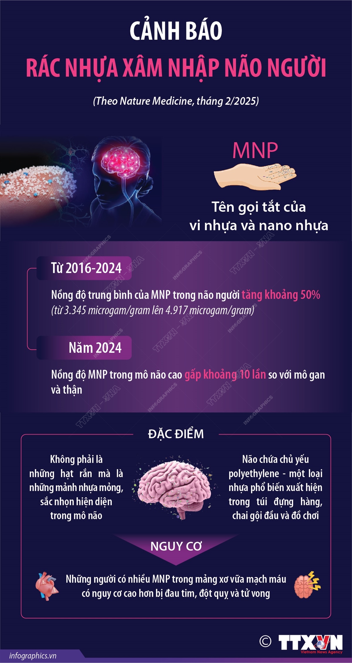 Cảnh báo rác nhựa xâm nhập não người