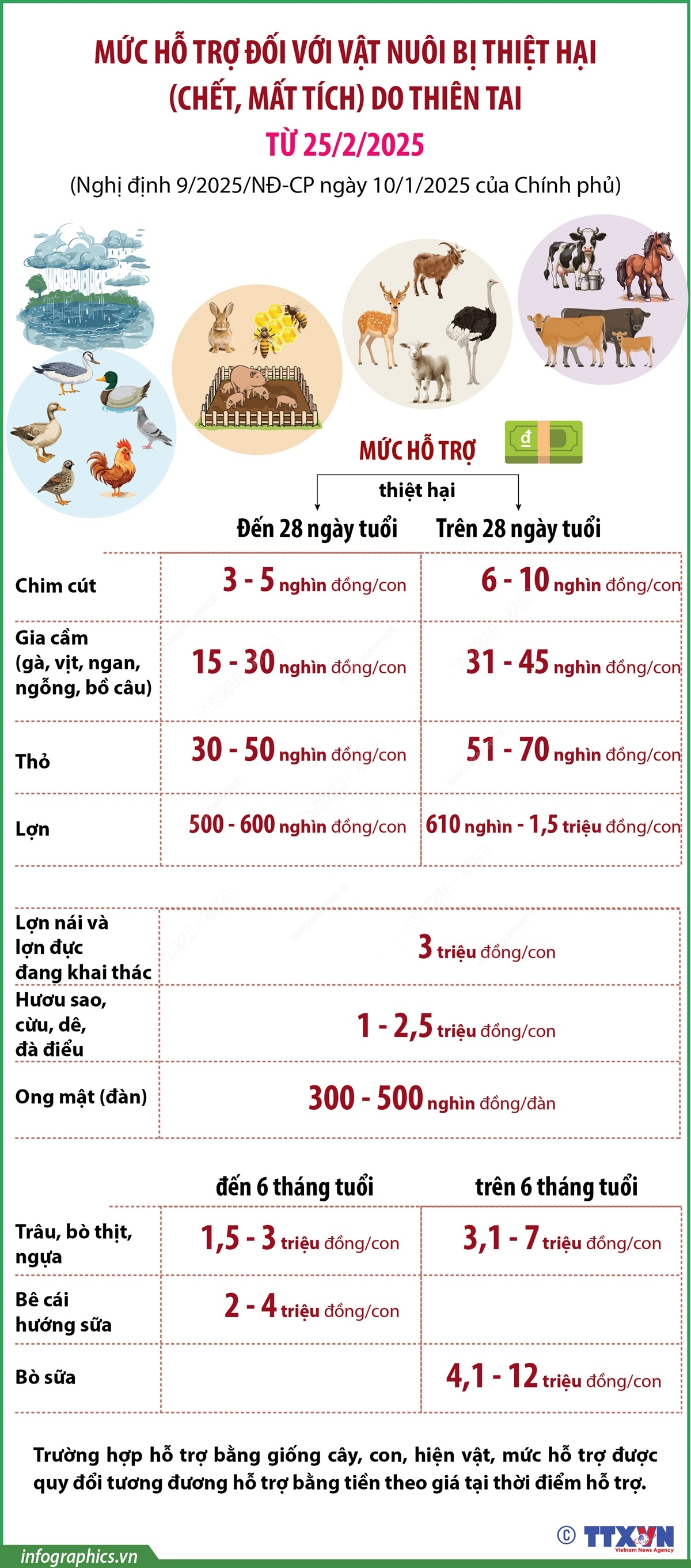 Mức hỗ trợ đối với vật nuôi bị thiệt hại (chết, mất tích) do thiên tai từ 25/2/2025