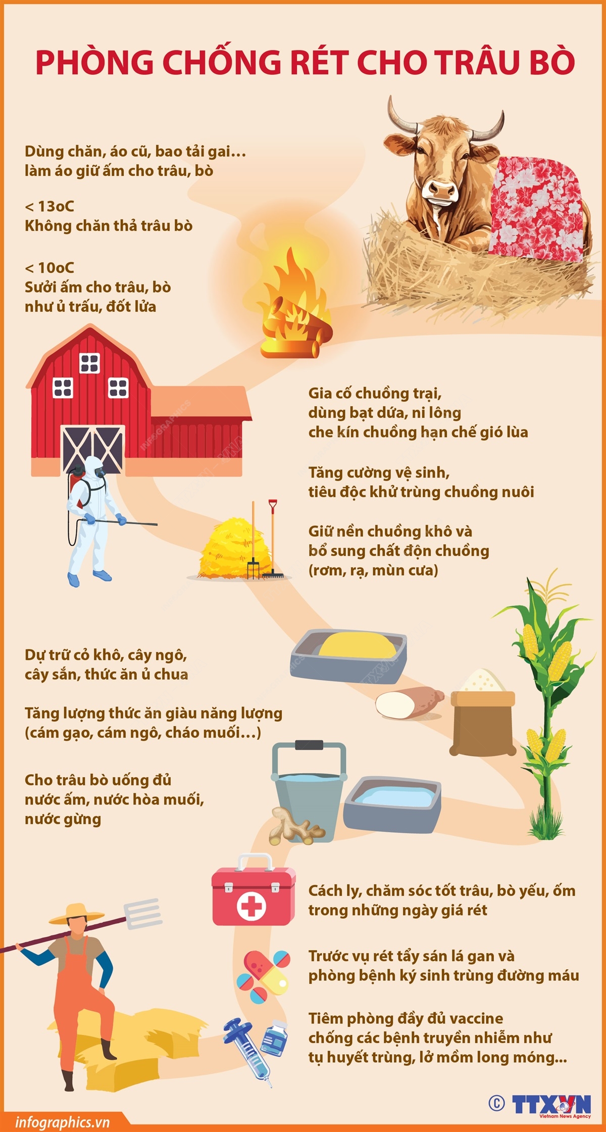 Phòng chống rét cho trâu bò