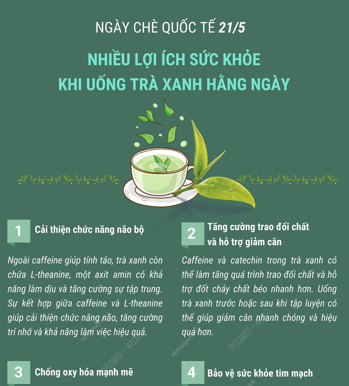 Ngày Chè quốc tế 21/5: Nhiều lợi ích sức khỏe khi uống trà xanh hằng...