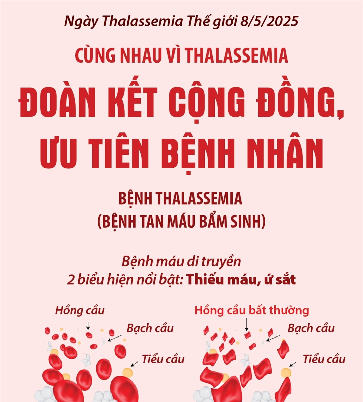 Cùng nhau vì Thalassemia: Đoàn kết cộng đồng, ưu tiên bệnh nhân