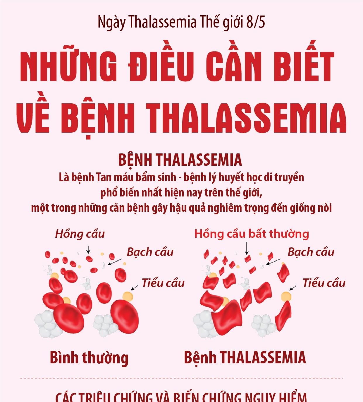 Ngày Thalassemia Thế giới 8/5: Những điều cần biết về bệnh Thalassemia