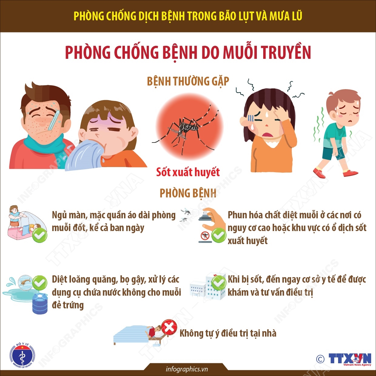 Phòng chống dịch bệnh trong bão lụt và mưa lũ: Phòng chống bệnh do muỗi truyền