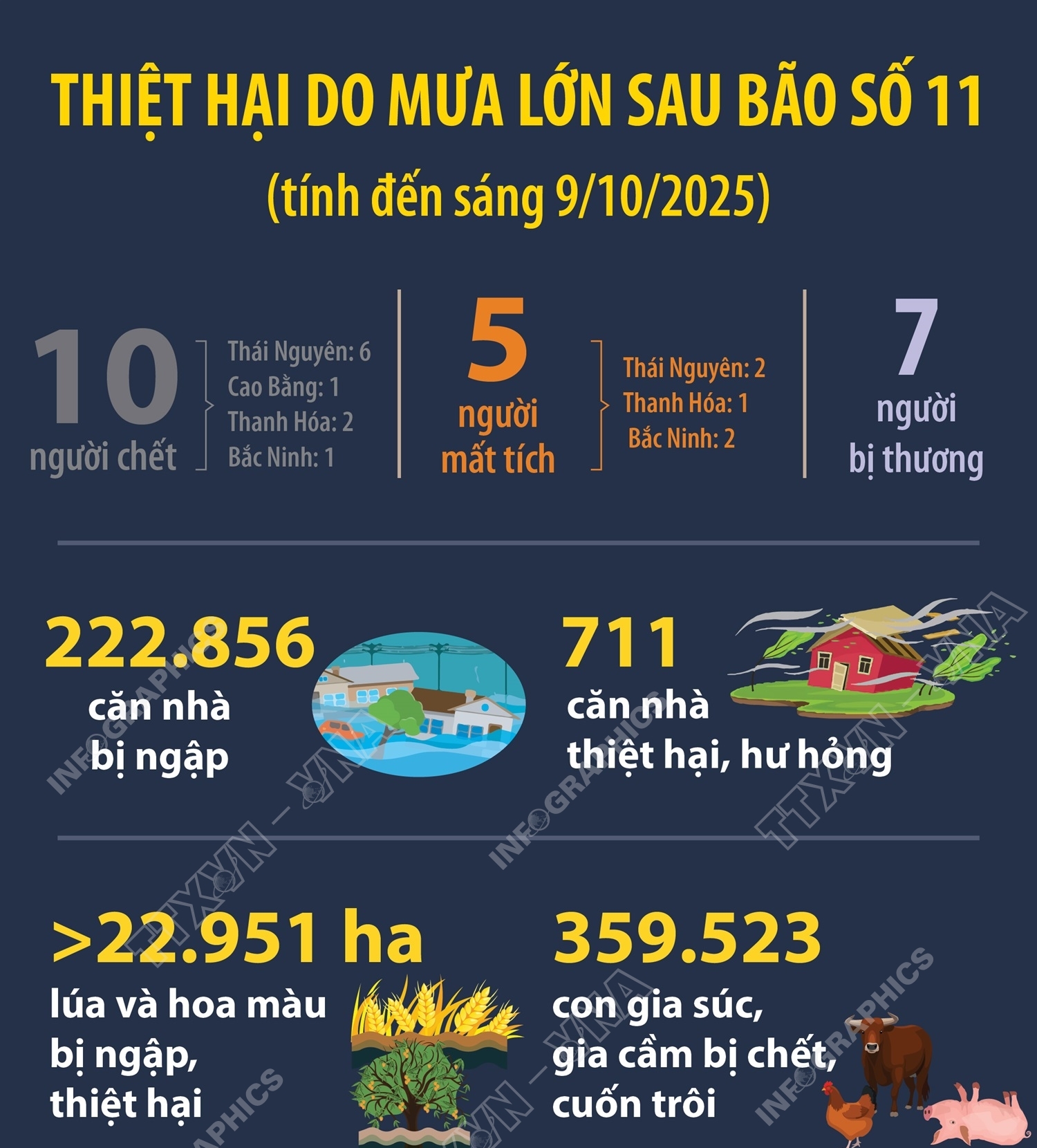 Thiệt hại do mưa lớn sau bão số 11 (tính đến sáng 9/10/2025)
