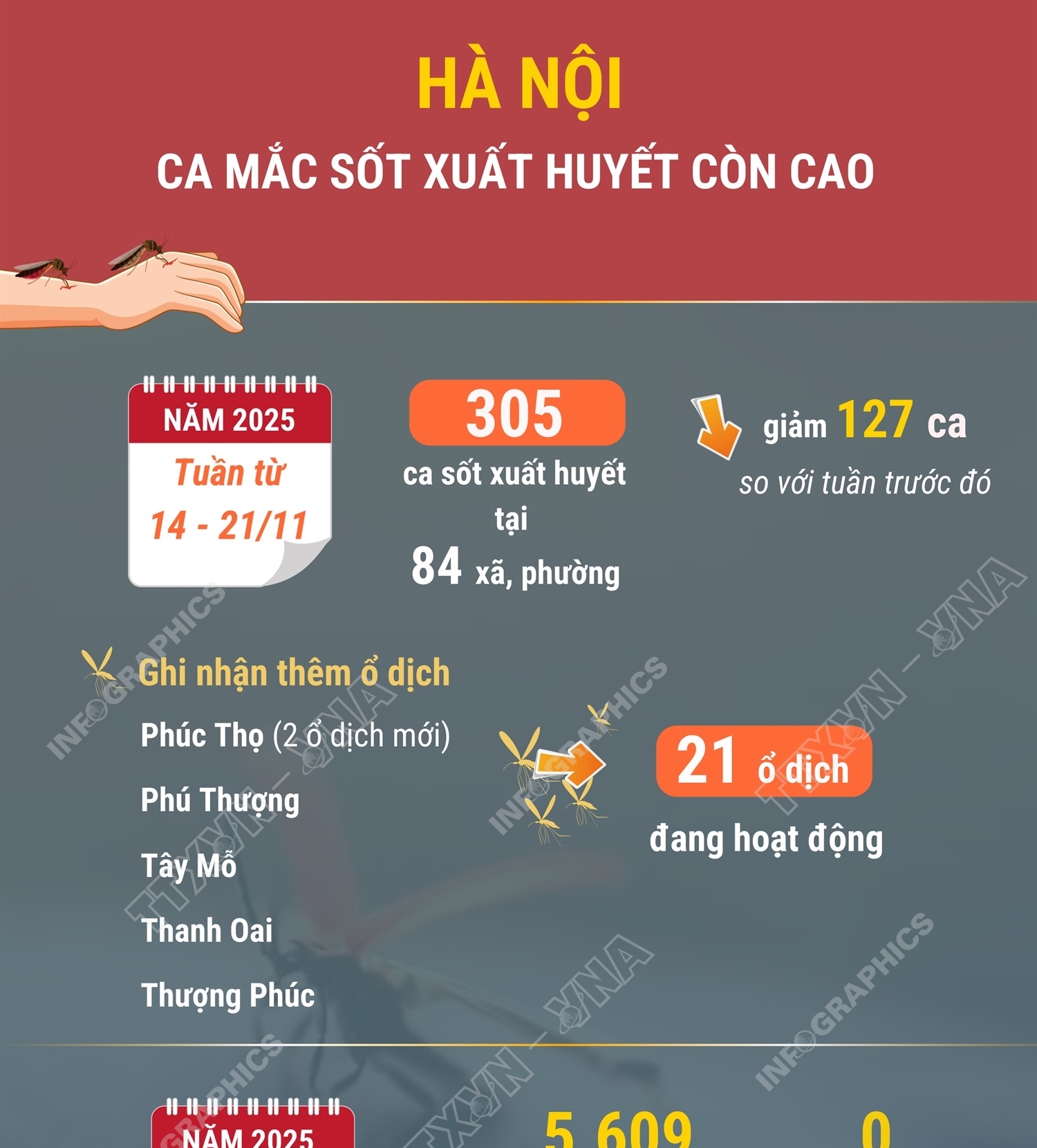 Hà Nội ca mắc sốt xuất huyết vẫn còn cao