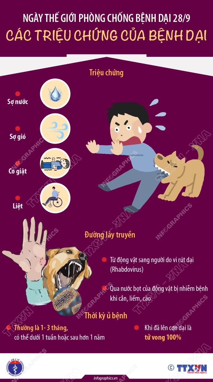 Các triệu chứng của bệnh dại