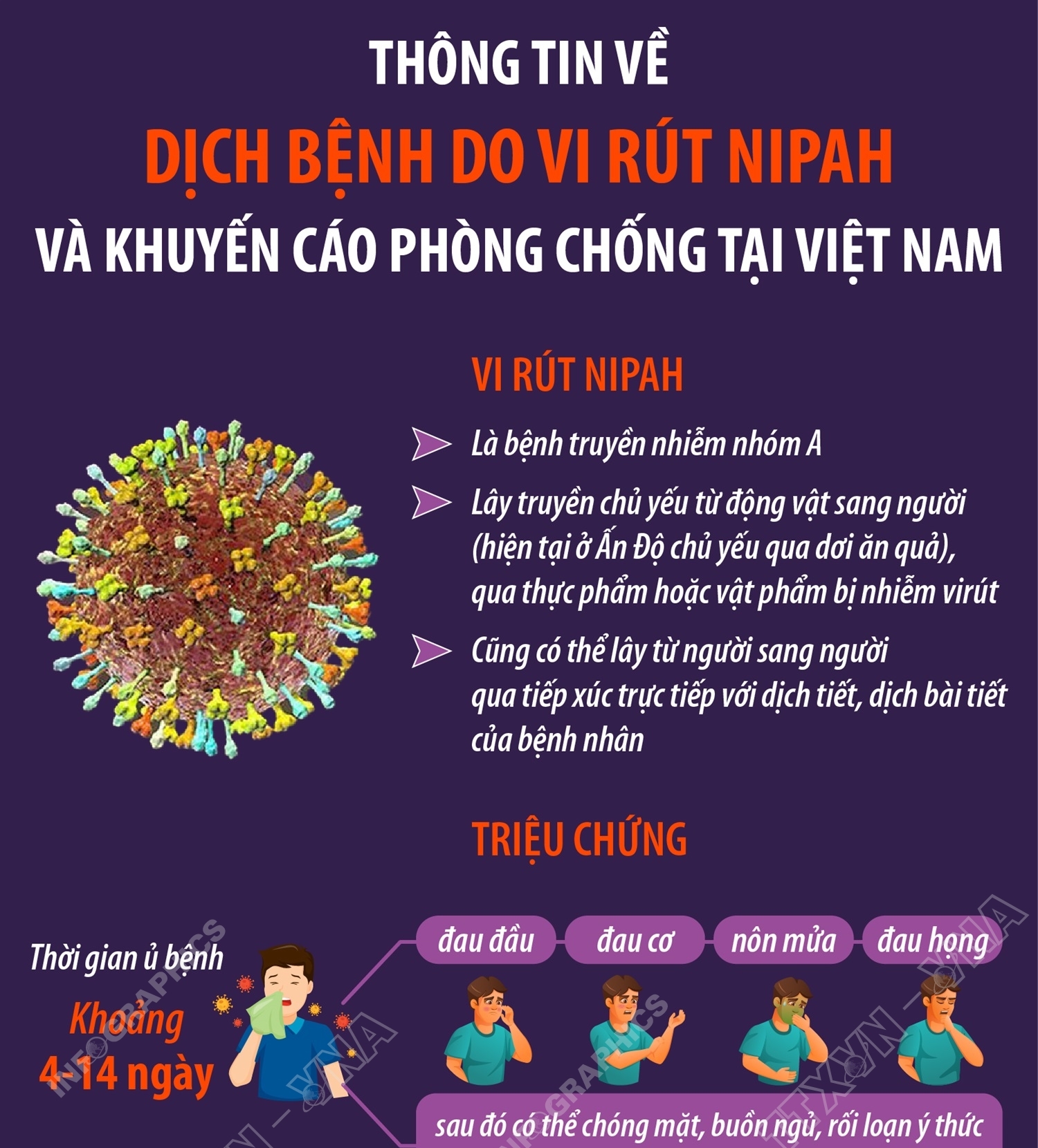 Thông tin về dịch bệnh do vi rút Nipah và khuyến cáo phòng chống tại Việt Nam
