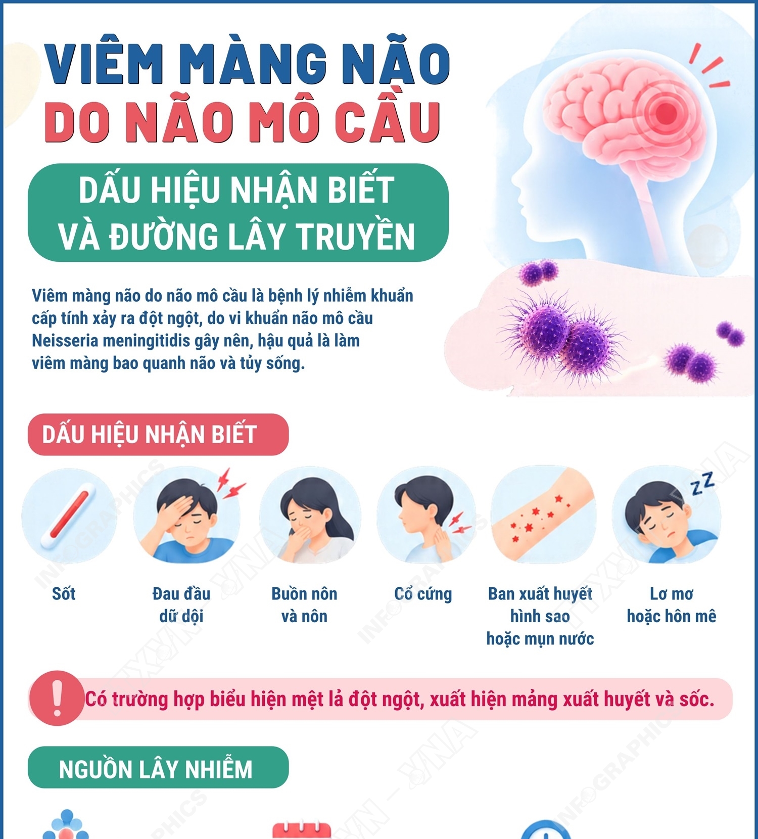 Viêm màng não do não mô cầu: Dấu hiệu nhận biết và đường lây truyền