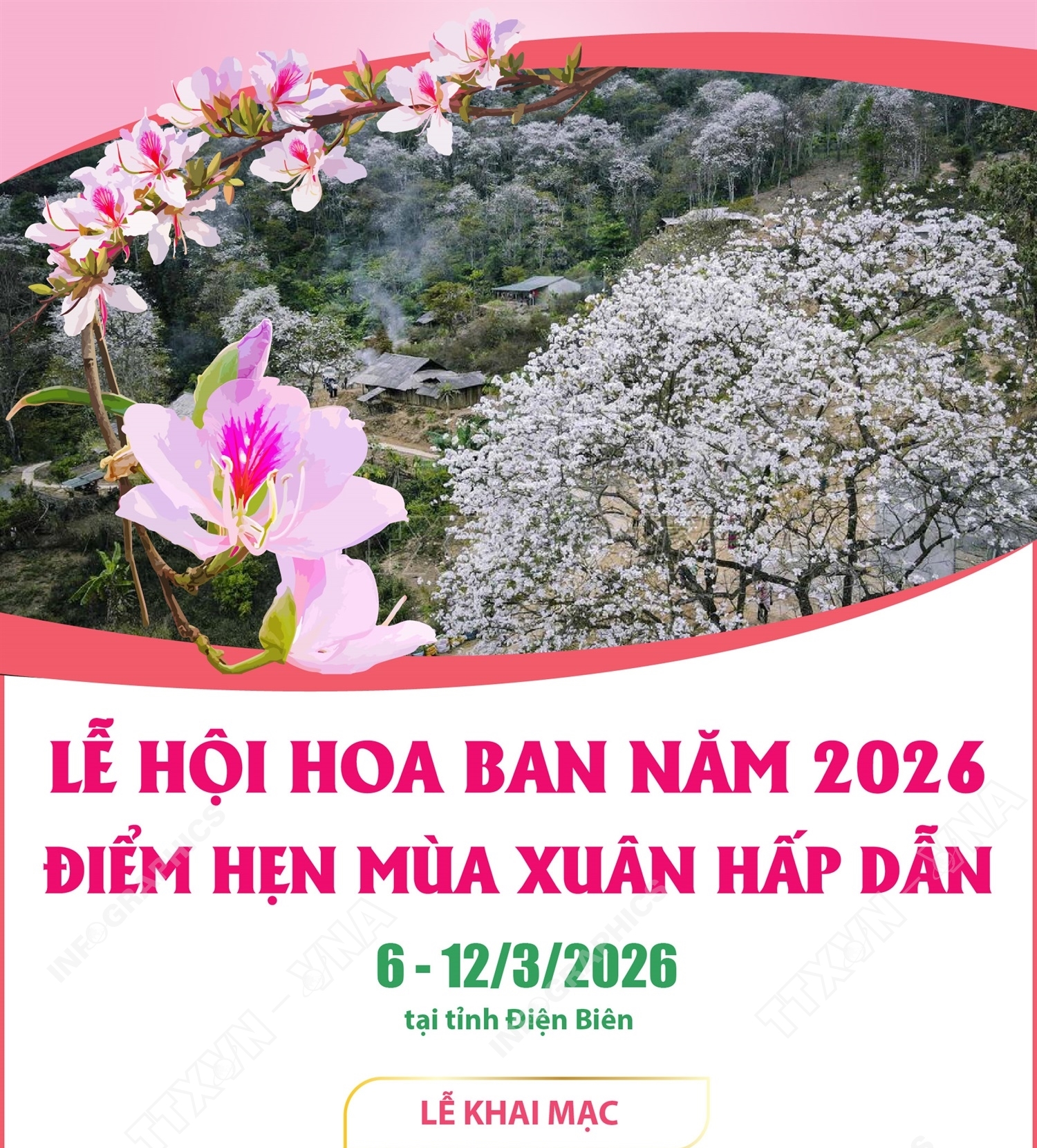 Lễ hội Hoa Ban năm 2026: Điểm hẹn mùa Xuân hấp dẫn