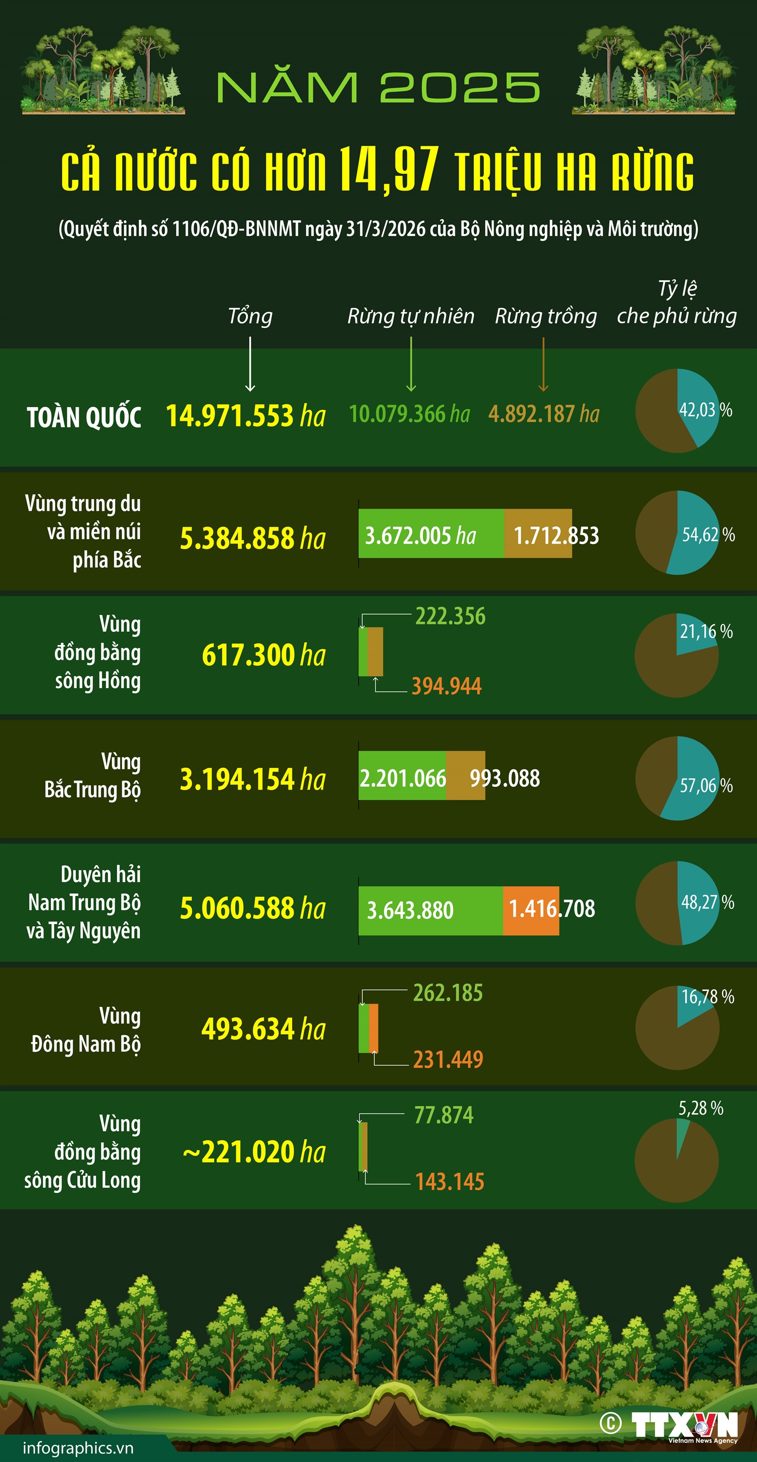 Năm 2025: Cả nước có hơn 14.97 triệu ha rừng